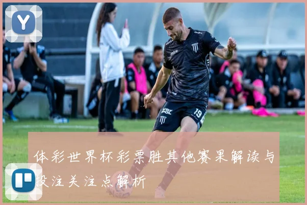 体彩世界杯彩票胜其他赛果解读与投注关注点解析