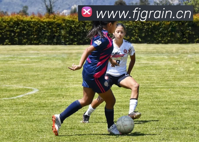 beat·365(中国)官方网站平台生态图