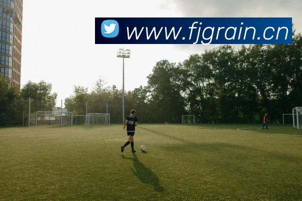 beat·365(中国)官方网站APP 封面图